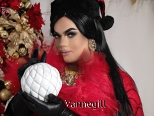 Vannegill