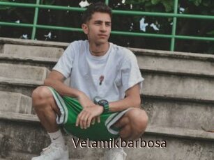 Velamikbarbosa