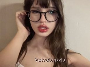 Velvetcassie