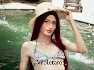 Viioletarose