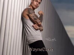 WayneDavis