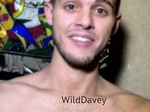 WildDavey