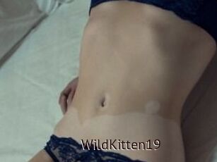 Wild_Kitten19