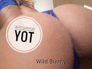 Wild_Bunny_