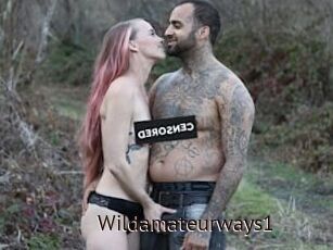 Wildamateurways1