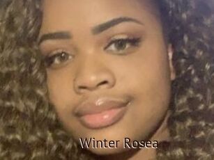 Winter_Rosea