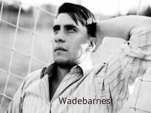 Wadebarnes