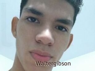 Waltergibson