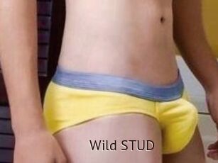 Wild_STUD