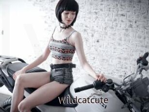 Wildcatcute