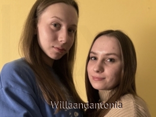 Willaandantonia