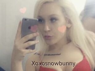 Xoxosnowbunny